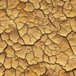 Quick Tip: DRY Up Your Model Validations Tests